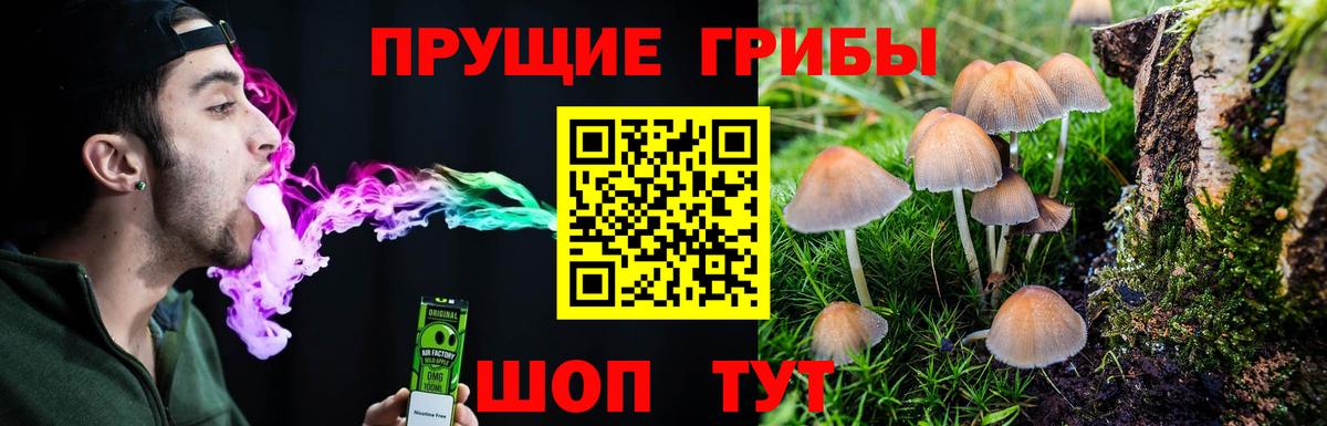Псилоцибиновые грибы Magic Shrooms Тейково